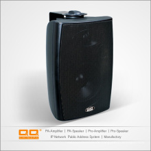 Lbg-5088 Top Verkauf Wandhalterung Lautsprecher 60W